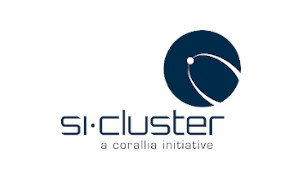 si_cluster-new